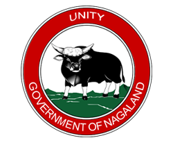 Government Supporting Partner